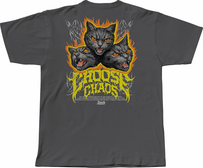 OVERSIZE STRAY CATS